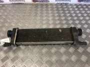 Ladeluftkühler Mercedes-Benz A-Klasse (W168) A1685000000