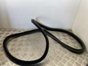 Türgummi links hinten BMW 4er Gran Coupe (F36) 7401893