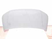 Motorhaube VW TRANSPORTER V (T5) Furgon 2.0 TDI