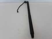 Heckklappendämpfer rechts Volvo V90 II (235) 31385257