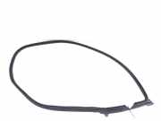 Türgummi rechts vorne BMW 6er Gran Coupe (F06) 7275298