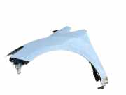 Kotflügel vorne links