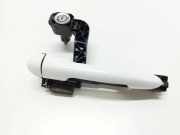 Türaußengriff hinten links