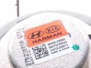 Lautsprecher im Armaturenbrett D4HB