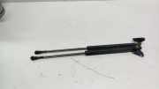 Heckklappe Gasdruckfeder links TOYOTA PRIUS Hatchback (_W2_) 1.5 (NHW2_) 689500W430