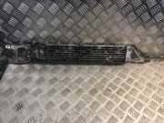 Ölkühler für Automatikgetriebe Mercedes-Benz A-Klasse (W169) 1695000200