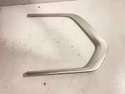 Horizontale Verkleidung der hinteren linken Türen BMW X7 (G07) xDrive 40 i Mild Hydrid 5A8A2A3