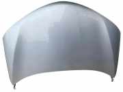 Motorhaube TOYOTA RAV 4 IV (_A4_) 2.0 D (WWA42_) COLOR1D6LC20