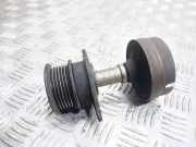 Riemenscheibe für Generator Ford Focus Turnier (DNW)