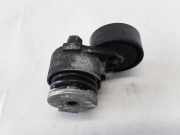 Riemenspanner RENAULT SCÉNIC II (JM0/1_) 1.5 dCi (JM1E) 8200460446