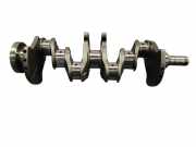 Kurbelwelle DACIA DUSTER 1.6 16V LPG