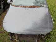 Motorhaube VW Passat B7 Alltrack (36, B7)