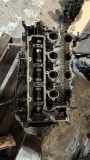 Motor ohne Anbauteile (Diesel) Ford Galaxy (CK) D4204T