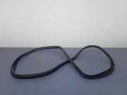 Türgummi links vorne BMW X6 (E71, E72)