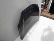 Motorhaube Renault Koleos I (HY) 65122