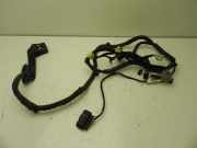 Kabel Tür Ford Focus III (DYB) DM5T14A584