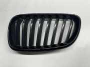 Kühlergrill links BMW 2er Cabriolet (F23) 7295523