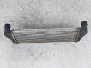 Ladeluftkühler VW Transporter T5 Fahrgestell () 7E0145804A