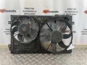 Kühlmodul VW Caddy III Kasten (2KA) 1K0121207