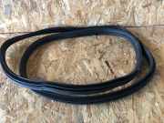 Türdichtung BMW X6 (E71, E72) 4879470