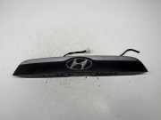 Kennzeichenbeleuchtung Verkleidung HYUNDAI ix55 3.0 V6 CRDi 4WD
