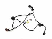 Kabel Tür Audi Q5 (8R) 8R0971029AB