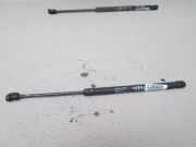 Heckklappendämpfer links Fiat Punto (188)