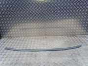 Dachleiste links BMW 3 Touring (E91) 320 d