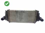 Ladeluftkühler Mercedes-Benz R-Klasse (W251)