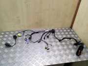 Kabel Tür vorne rechts VW TIGUAN (5N_) 2.0 TDI 4motion 5N0971120G