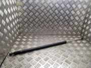 Heckklappe Gasdruckfeder rechts RENAULT ESPACE IV (JK0/1_) 2.0 dCi (JK01, JK02, JK1J, JK1K) 8200021975