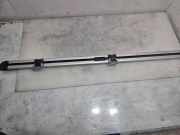 Kofferraumverkleidung AUDI A6 Avant (4F5, C6) 3.0 TDI quattro 4F9863555A