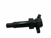 Zündspule Hyundai Tucson III (TL, TLE) 273012B100