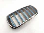 Vorderer oberer Gitter BMW X5 (F15, F85) xDrive 40e 51117303107