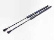 Heckklappe Gasdruckfeder links RENAULT CAPTUR II (HF_) TCe 100 (HFMT) 904528177R