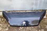Motorhaube Peugeot Boxer Kasten ()