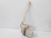 Fensterwaschtank RENAULT MASTER III Furgon (FV) 2.3 dCi 125 [RWD] (FV0C, FV0D, FV0H, FV0J) 2891000028R