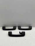 Dachgriffset (innen) NISSAN JUKE (F16) 1.0 3361921A