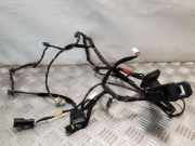 Kabel der vorderen linken Tür HYUNDAI ix35 (LM, EL, ELH) 1.7 CRDi