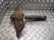 Stoßdämpfer hinten rechts