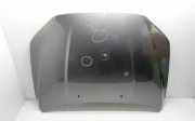 Motorhaube VOLVO S80 II (AS) D5
