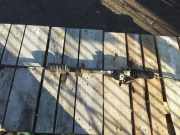 Lenksäule RENAULT CLIO II (BB0/1/2_, CB0/1/2_) 1.9 D (B/CB0E) 7700437052 6900000235