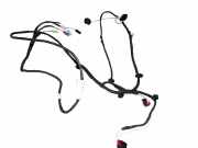 Kabelbaum VW Passat B7 (362) 016289BD