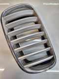 Kühlergrill oben BMW X5 (E70) 7157687