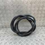Türdichtungsgummi vorne links VW AMAROK (2H_, S1B) 3.0 TDI 4motion 2H0837911H