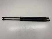 Heckklappe Gasdruckfeder links