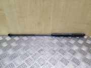 Heckklappe Gasdruckfeder links CITROËN C4 II (B7) 1.6 VTi 120 9647295480