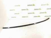 Dachleiste links MERCEDES-BENZ CLK (C209) 270 CDI (209.316) A2096900580