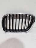 Kühlergrill links BMW X5 (E53) 51138247673