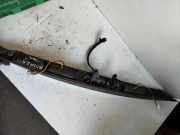 Kennzeichenbeleuchtung Verkleidung MASERATI QUATTROPORTE V 4.7 S 67826100